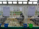 SAM_3983