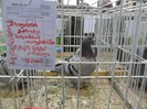 SAM_3987