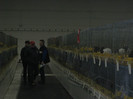 wels_2013_ 219