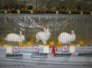 wels_2013_ 244