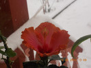 DSCN6120_1600