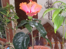 DSCN6126_1606