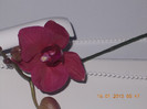DSCN6152_1632