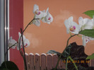 DSCN6157_1637