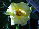 DSCN4359