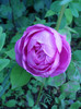 DSCN4380