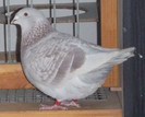 DSCF4673