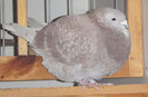 DSCF4685