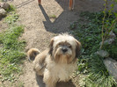 Maxy