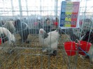 expo