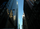 DSCF0342
