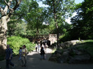 DSCF3943