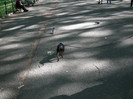 DSCF3967