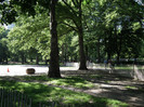 DSCF3974
