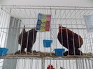 expo