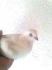 Image0616