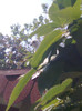 Image0705