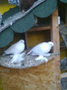 Image0708