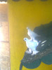 Image0289