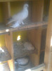 Image0392