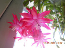 DSCN2554