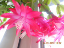DSCN2555