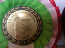 premii din Ungaria