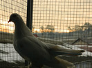 DSCN5618