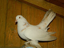DSCN5692