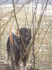 100_1940 - Copy