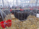expo
