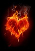 flaming-heart1
