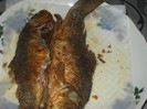 DSCN4836