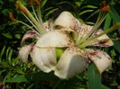 P1170028