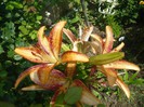 P1170033
