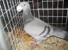 IMG_8665