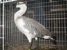 IMG_8669