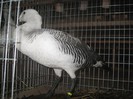 IMG_8670
