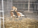 IMG_8671