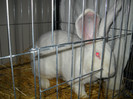 Picture 537