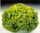 Salata verde creata-Lolo Bionda -1gr -2lei