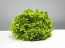 Salata verde creata-Grand Rapido 1gr -2 lei