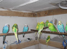 DSCF0120
