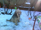 poze2012 146