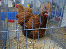 DSC08759