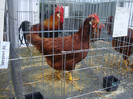 DSC08764