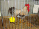 DSC08798