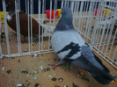 DSC08874
