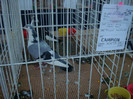 DSC08887