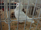 DSC08941